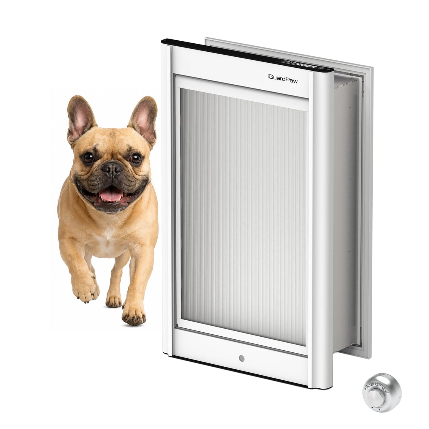iGuardPaw Wall Mount pet Door