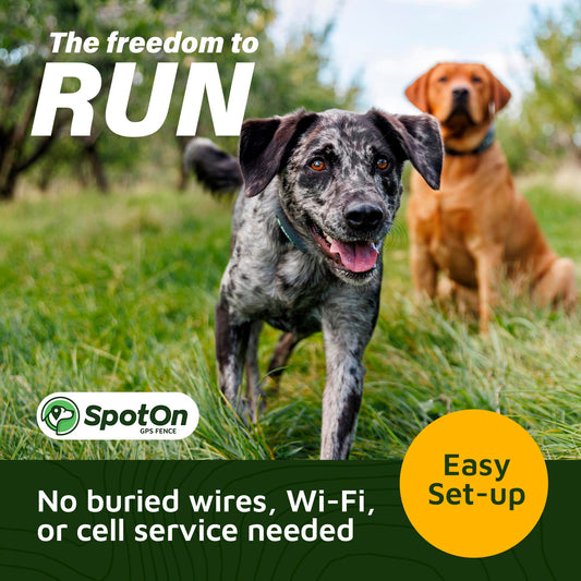 GPS Wireless Dog Fence Collar & Containment System