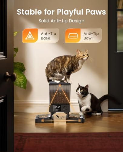 oneisall Automatic Cat Feeder for 2 Cats, Automatic Cat Food Dispenser for 2 Cats Small Pets, 20 Cups/5L