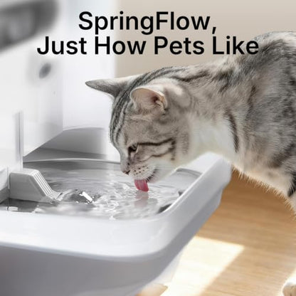 PETKIT Eversweet Ultra Cat Water Fountain with AI Camera, Filterless