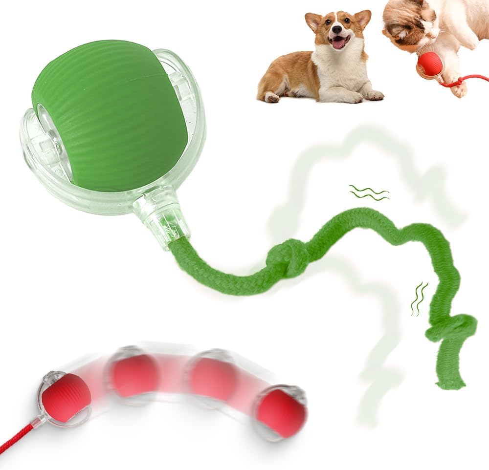 Smart 360° Automatic Rolling Interactive Dog Ball Toy