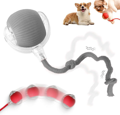 Smart 360° Automatic Rolling Interactive Dog Ball Toy