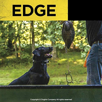 1-Mile Waterproof Remote Dog Training Receiver Collar