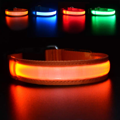 LED Light-Up Dog Collar for Night Safety