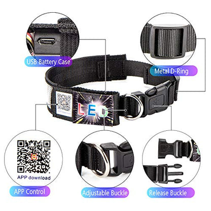 Rechargeable Programmable LED Dog Safety Collar