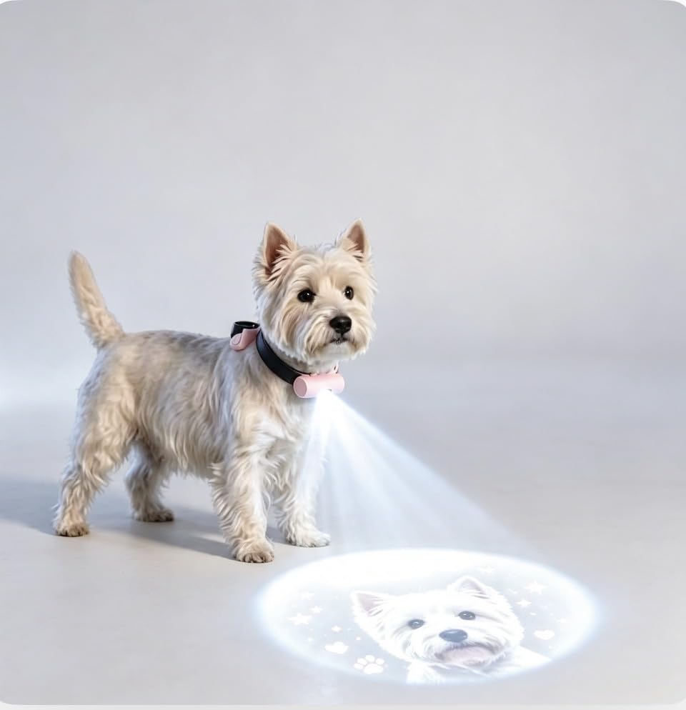 USB Rechargeable Custom Pet Photo Projection Collar Light