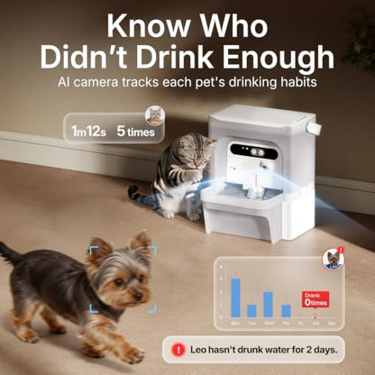 PETKIT Eversweet Ultra Cat Water Fountain with AI Camera, Filterless