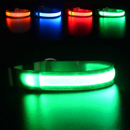 LED Light-Up Dog Collar for Night Safety