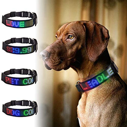 Rechargeable Programmable LED Dog Safety Collar