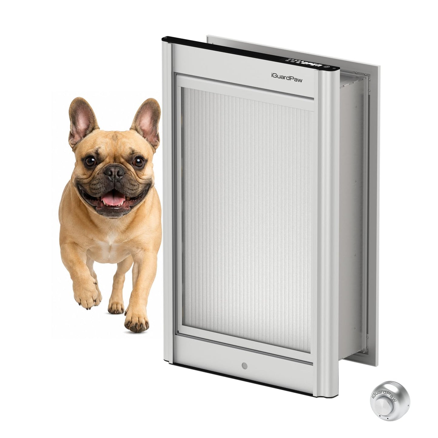 iGuardPaw Wall Mount pet Door