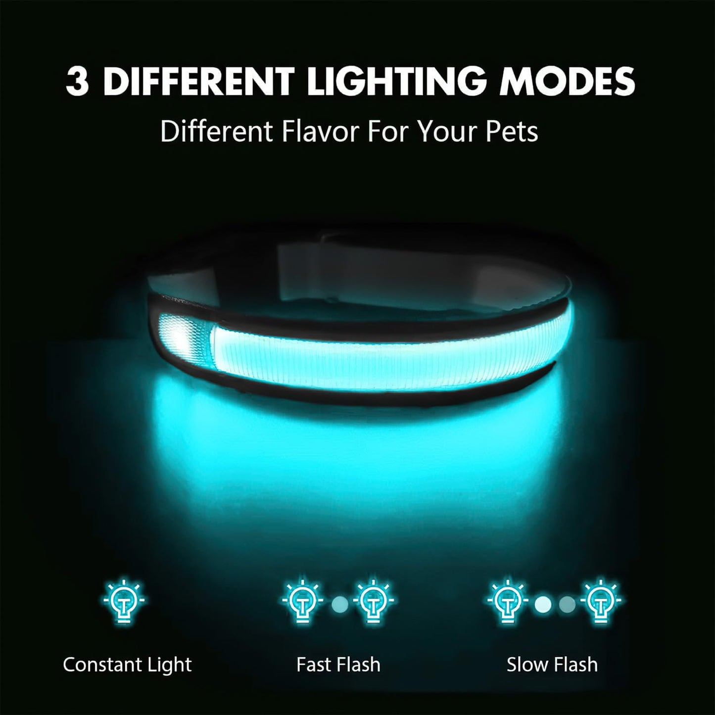 LED Light-Up Dog Collar for Night Safety