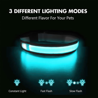 LED Light-Up Dog Collar for Night Safety