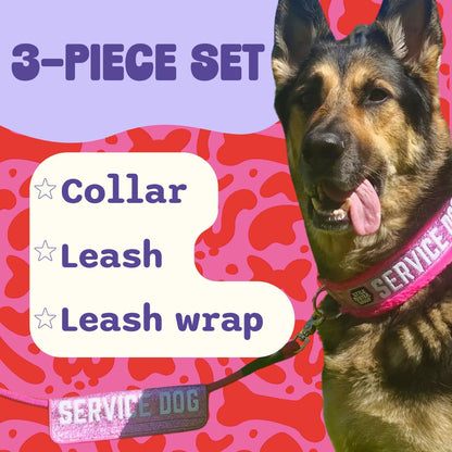 Service Dog Collar, Leash & Wrap Set for Medium Dogs