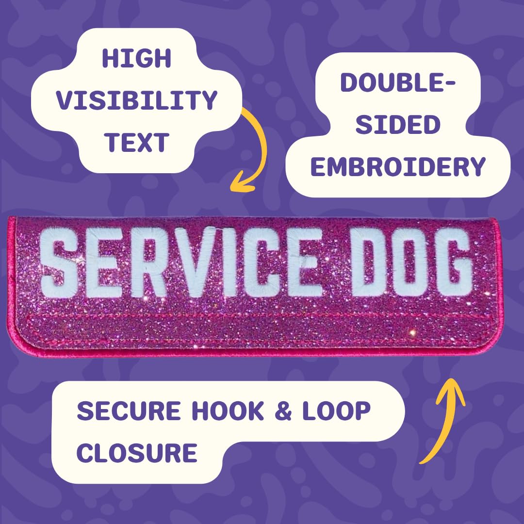 Service Dog Collar, Leash & Wrap Set for Medium Dogs