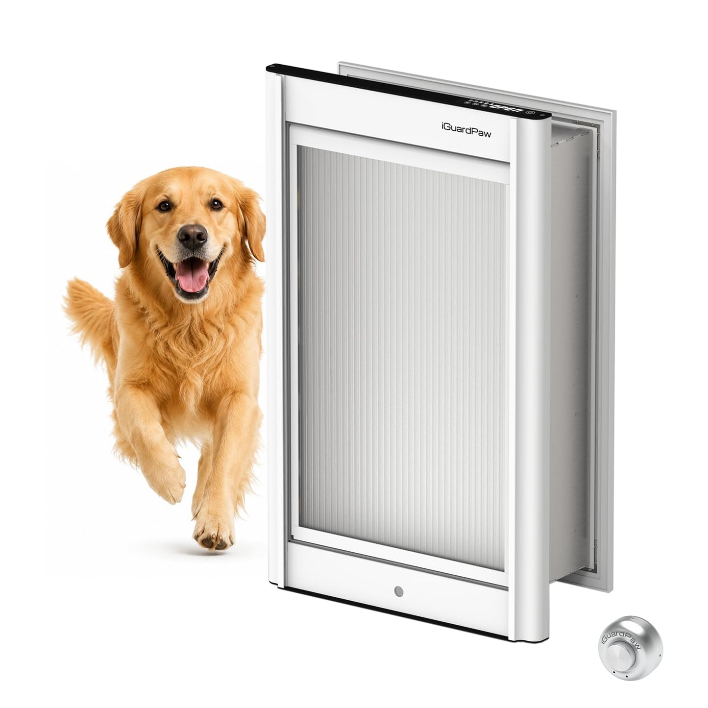 iGuardPaw Wall Mount pet Door