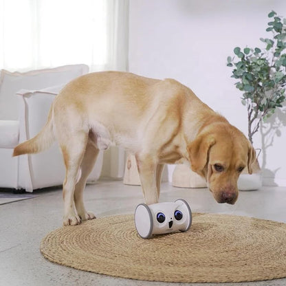 Smart Interactive Rolling Pet Toy for Cats & Dogs