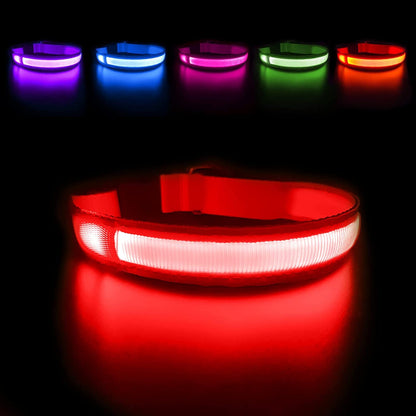 LED Light-Up Dog Collar for Night Safety