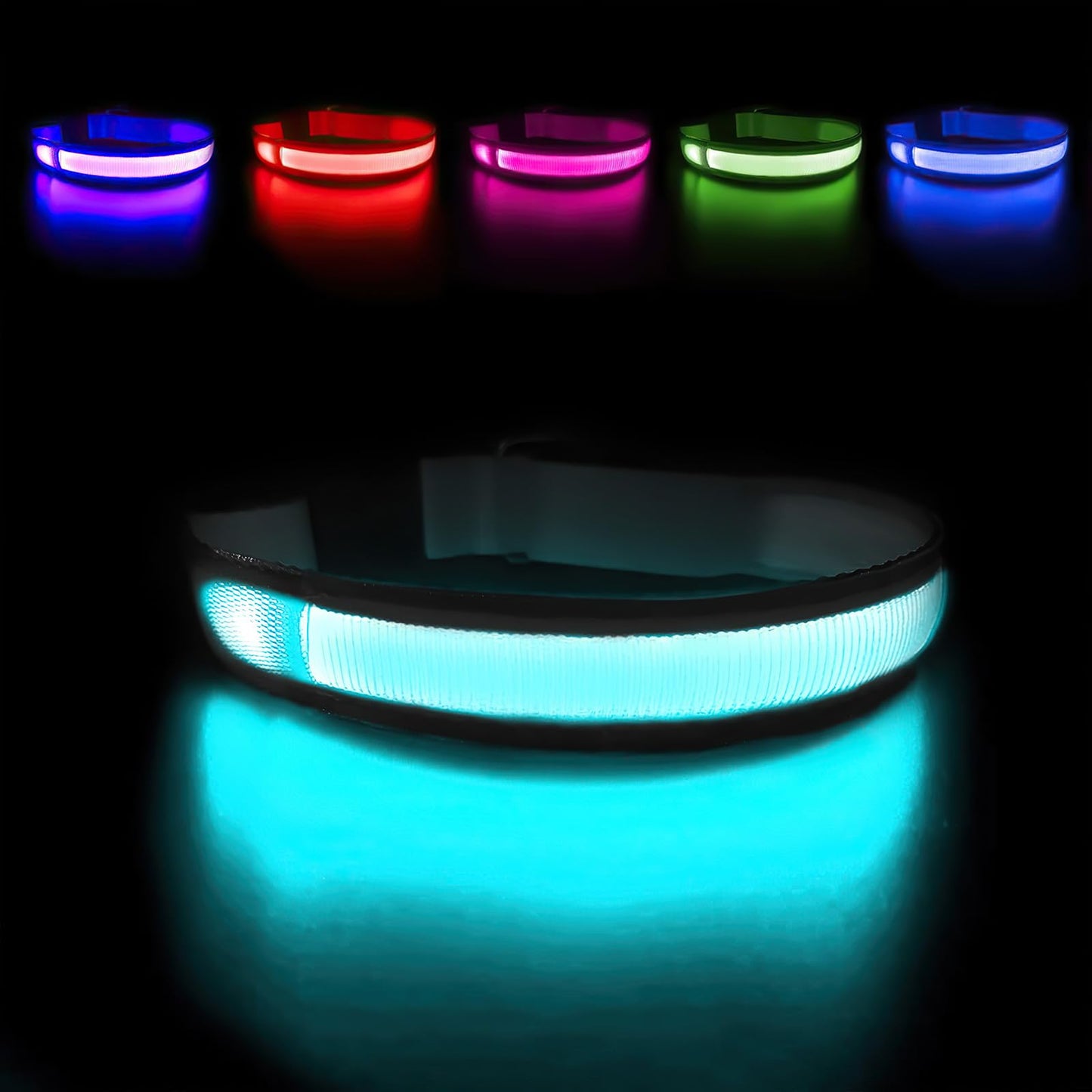 LED Light-Up Dog Collar for Night Safety