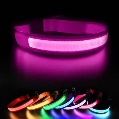LED Light-Up Dog Collar for Night Safety