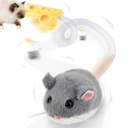 Rechargeable Interactive Cat Toy with Motion Sensor
