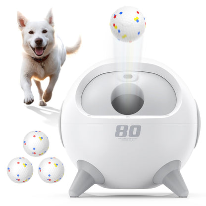 Smart WiFi Automatic Pet Door for Dogs & Cats