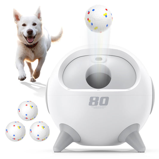 Smart WiFi Automatic Pet Door for Dogs & Cats