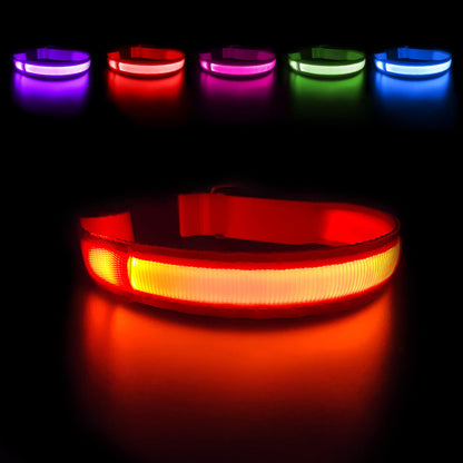 LED Light-Up Dog Collar for Night Safety