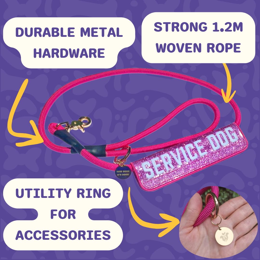 Service Dog Collar, Leash & Wrap Set for Medium Dogs