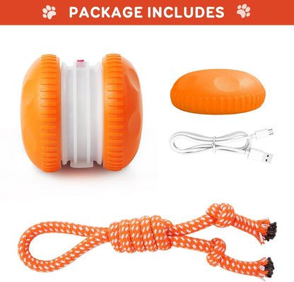 Motion-Activated Interactive Rolling Dog Ball with Rope