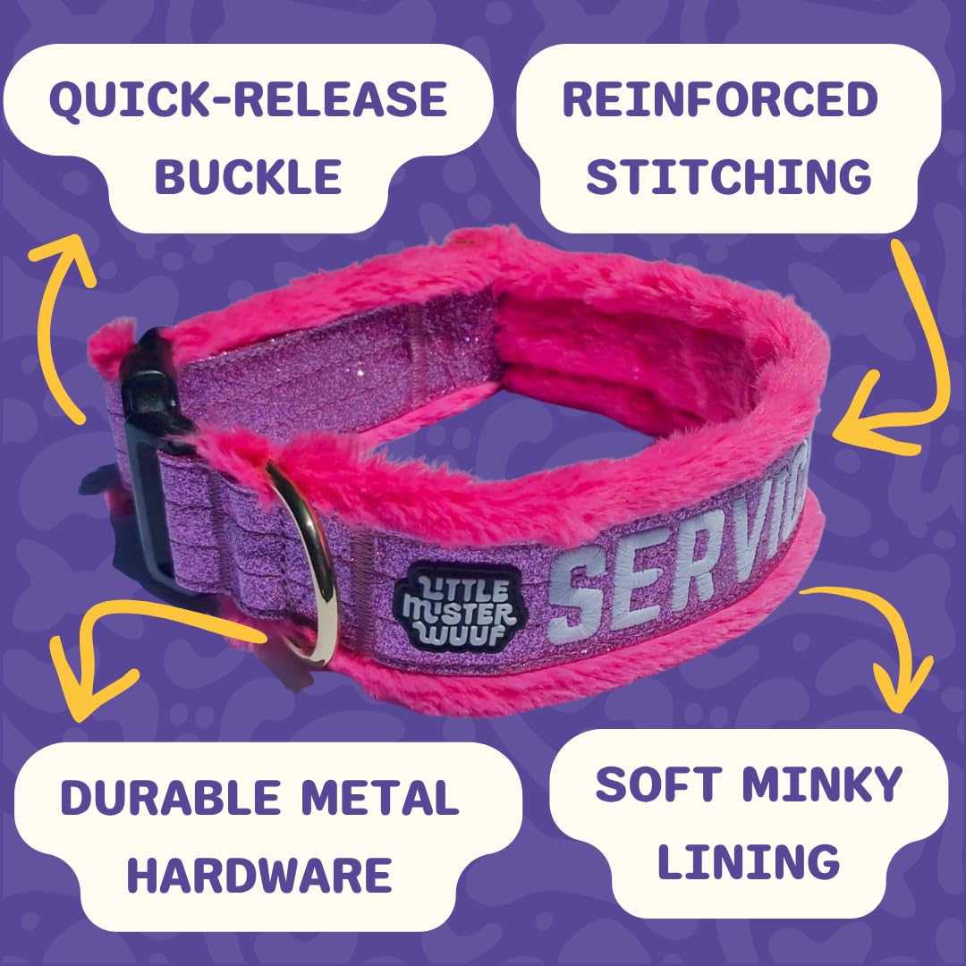 Service Dog Collar, Leash & Wrap Set for Medium Dogs
