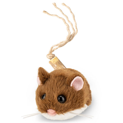 Rechargeable Interactive Cat Toy with Motion Sensor