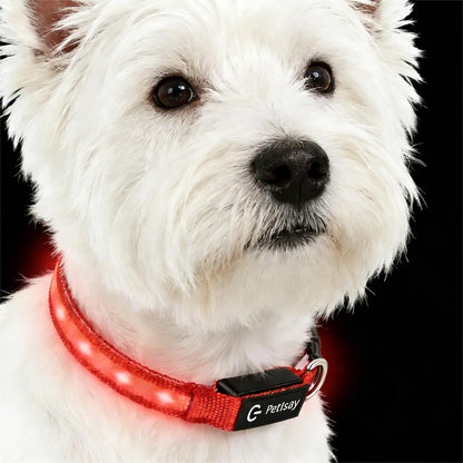 Waterproof USB-C Rechargeable LED Dog Safety Collar