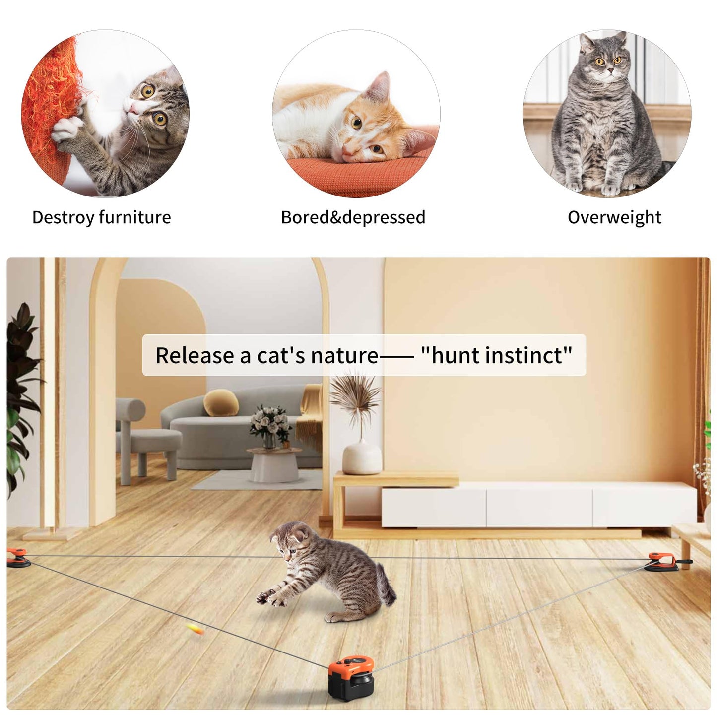 Interactive Cat Chase Toy for Indoor Exercise & Hunting