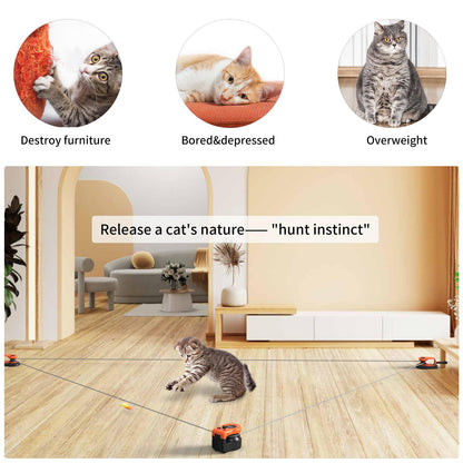 Interactive Cat Chase Toy for Indoor Exercise & Hunting