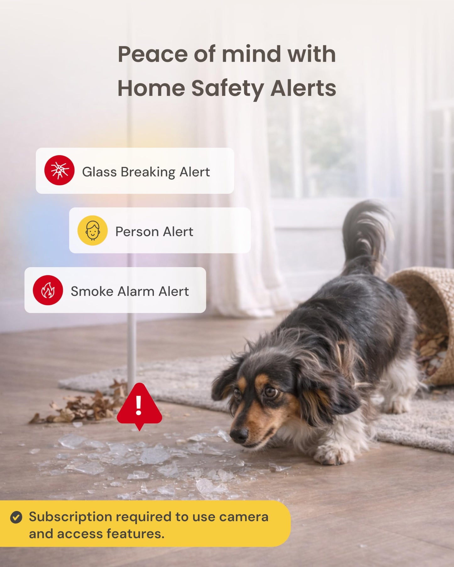 Furbo 360° Dog Camera + Mini [New Subscription Required at Setup] 2-Camera Bundle Nanny Subscription: Dog Safety & Home Security Alerts, Pet Camera with Speaker, Phone App & Night Vision