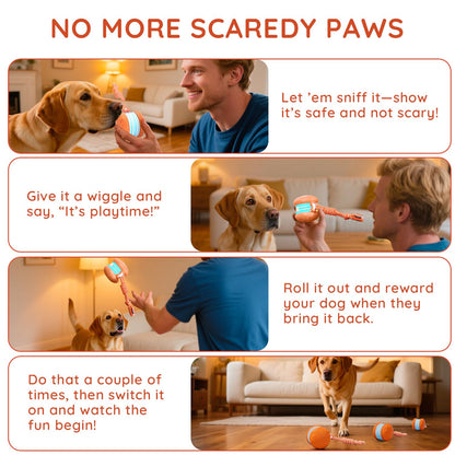 Motion-Activated Interactive Rolling Dog Ball with Rope