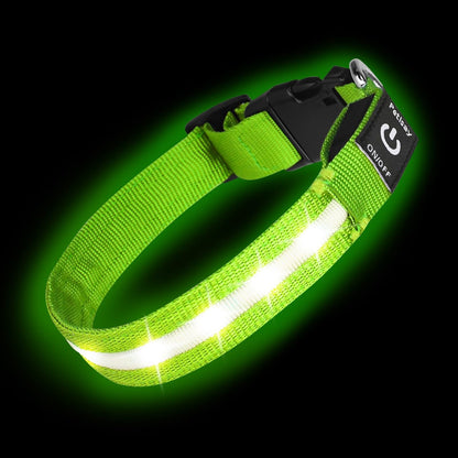 Waterproof USB-C Rechargeable LED Dog Safety Collar