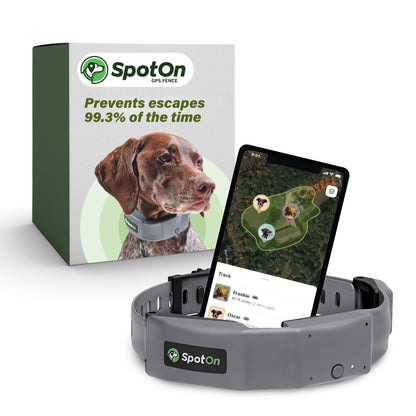 GPS Wireless Dog Fence Collar & Containment System