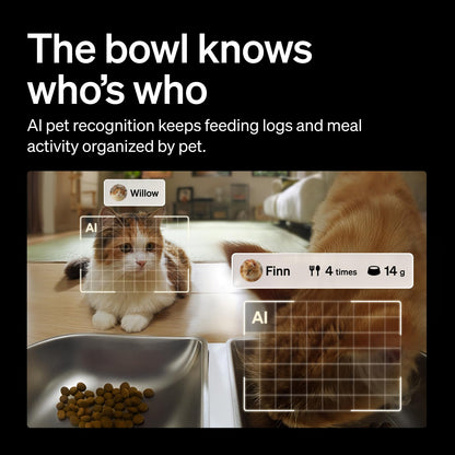 PETLIBRO Automatic Camera Cat Feeder Granary 2 Vision with Desiccant Bag