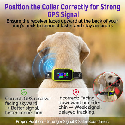 GPS Wireless Dog Fence & Remote Training Collar System
