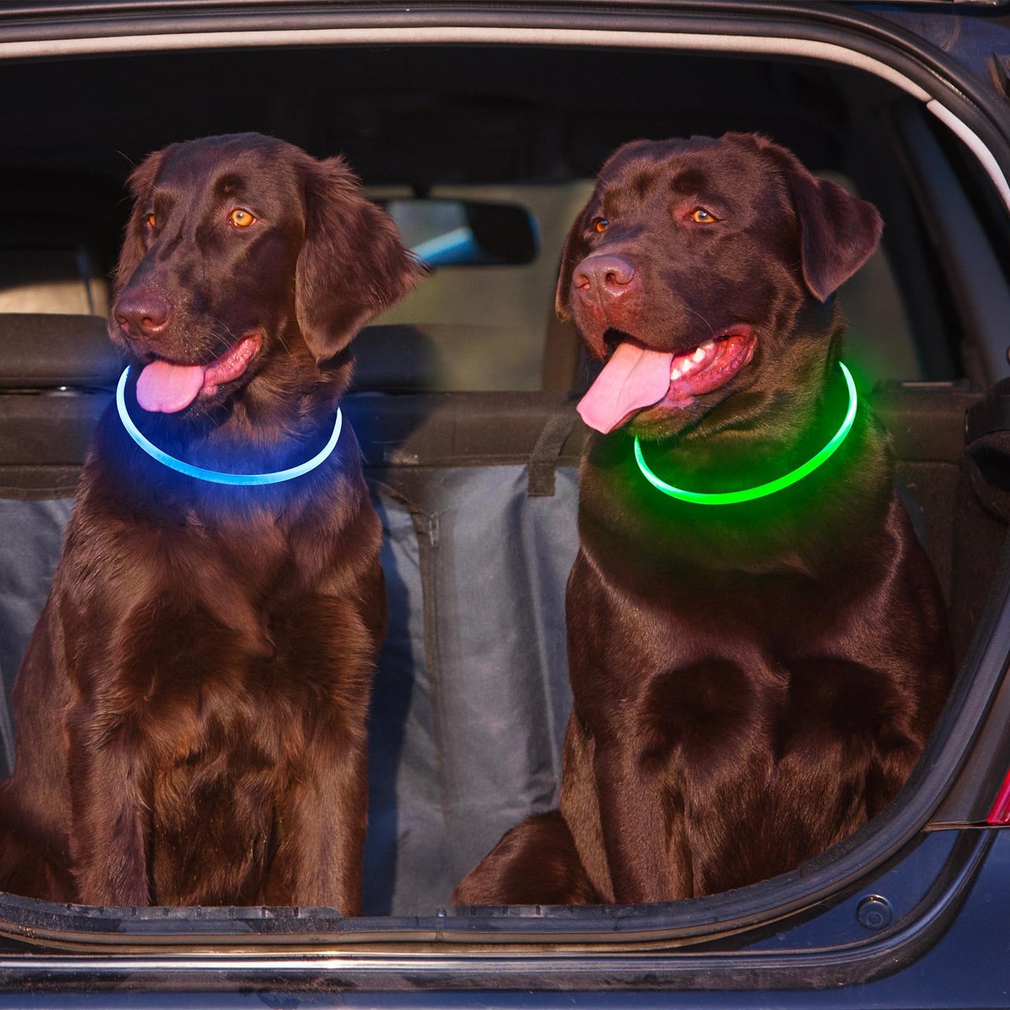 2-Pack Rechargeable LED Dog Collars for Night Safety