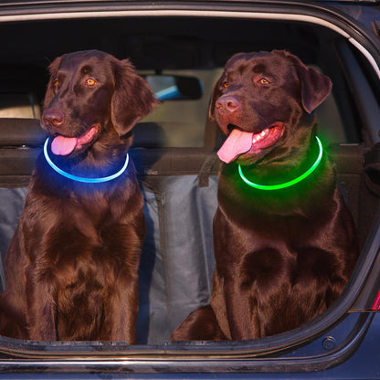 2-Pack Rechargeable LED Dog Collars for Night Safety