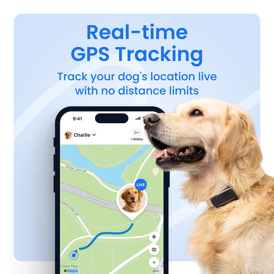 Dog GPS Tracker with Live Location & Virtual Fence