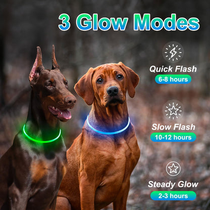 2-Pack Rechargeable LED Dog Collars for Night Safety