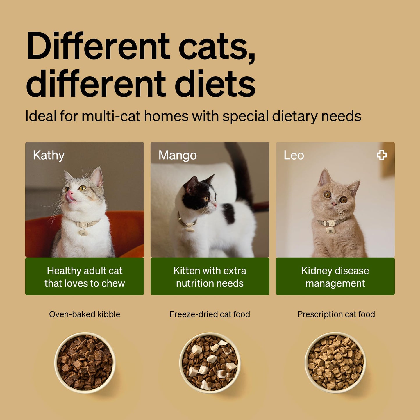 PETLIBRO RFID Automatic Cat Feeder, Collar Tag-Activated Personalized Meals