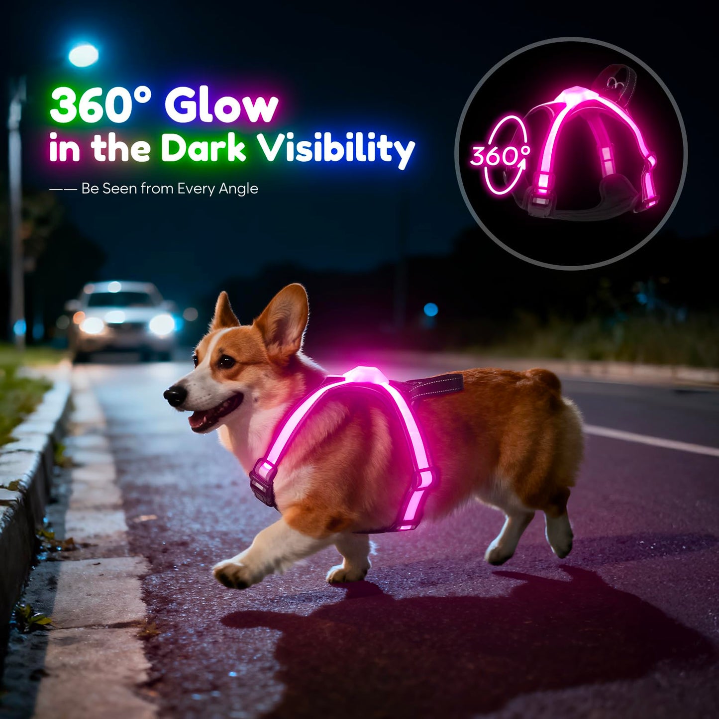 USB-C Rechargeable LED Dog Harness for Night Walking