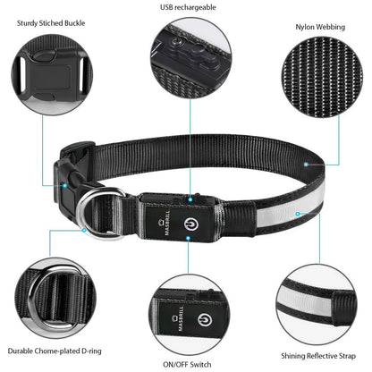 LED Light-Up Dog Collar for Night Safety