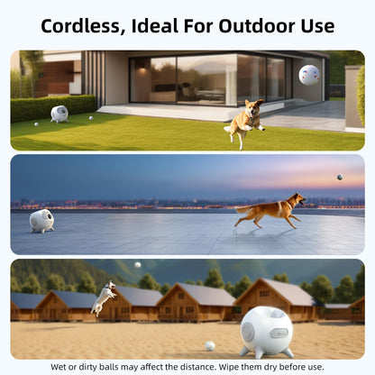 Smart WiFi Automatic Pet Door for Dogs & Cats