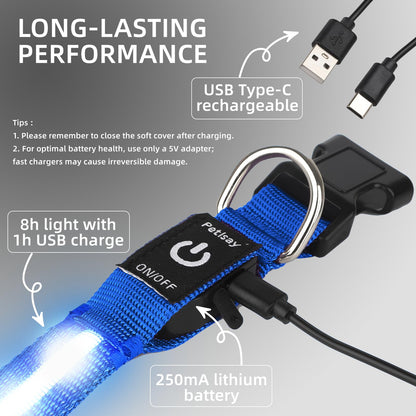 Waterproof USB-C Rechargeable LED Dog Safety Collar