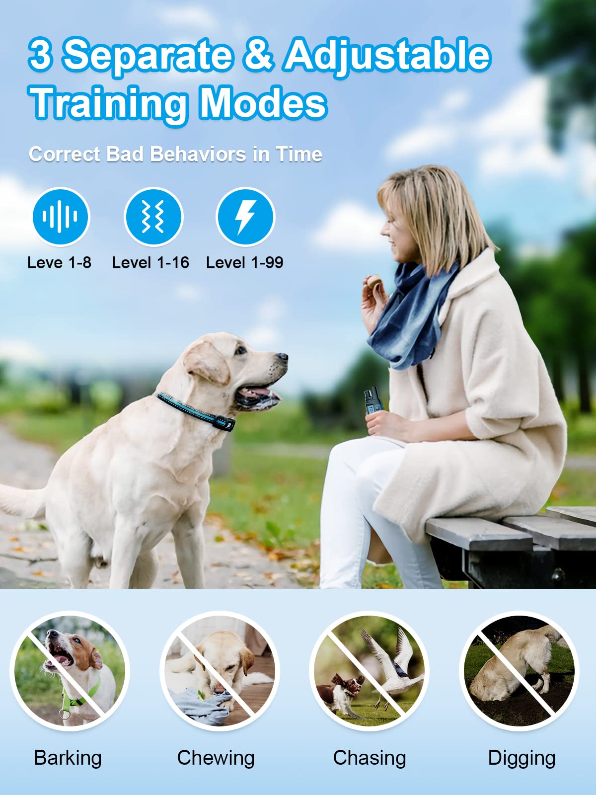 Waterproof Dual Dog Remote Training Collar 3300FT Range